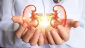 Nephrology