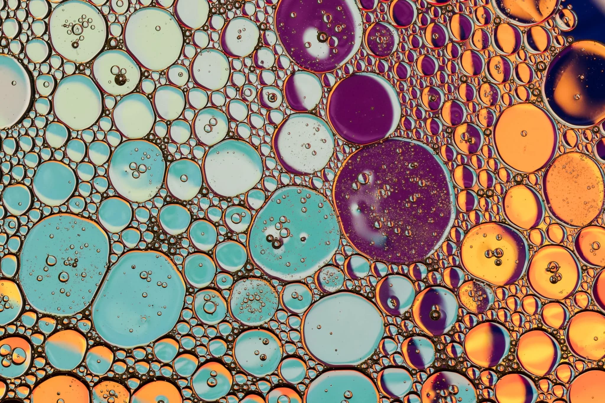 Cyto-Histopathology