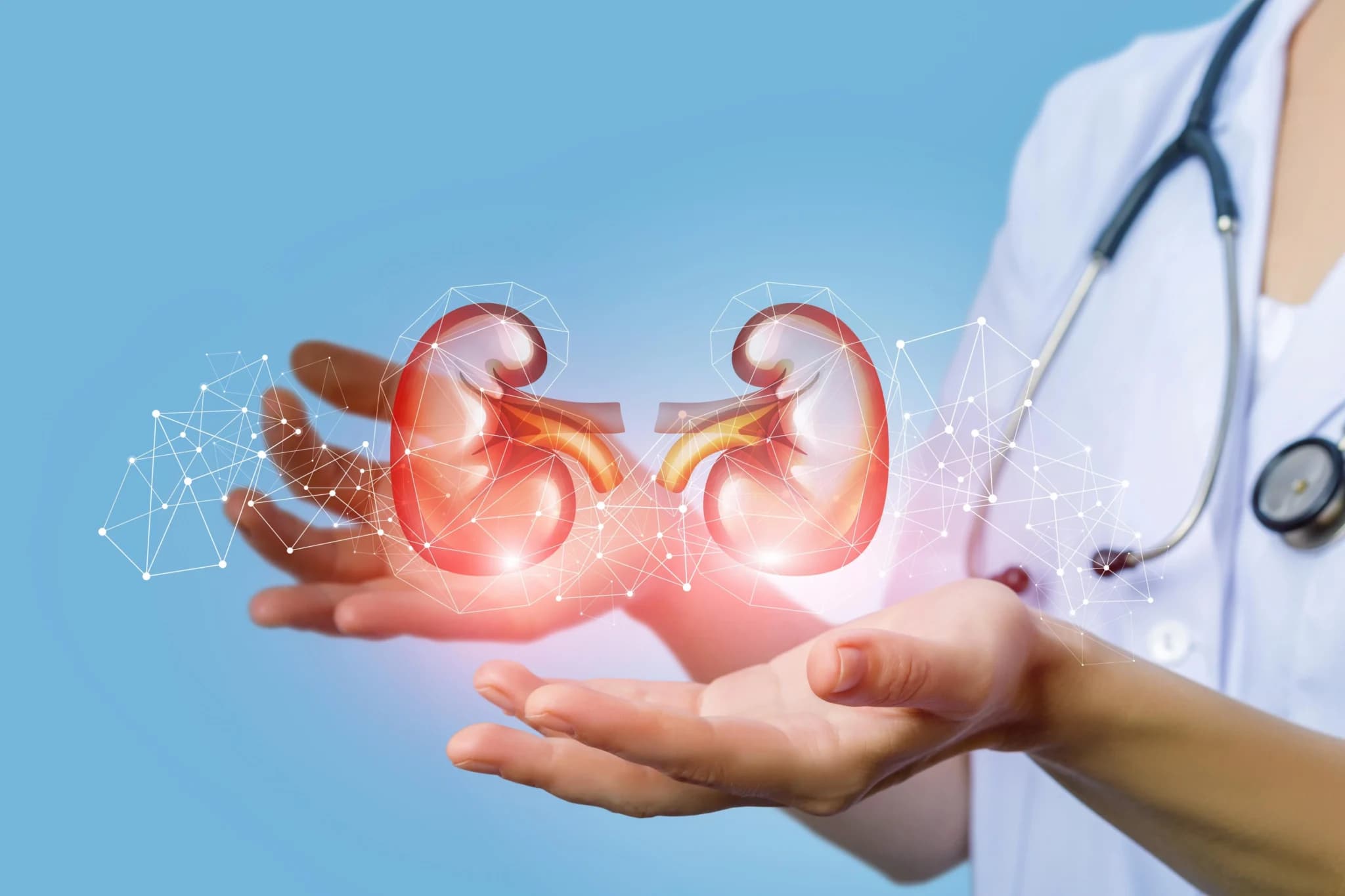 Kidney Transplant
